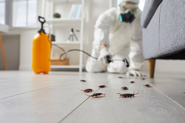 Post-Treatment Bed Bug Interceptor Monitoring in Port Barrington