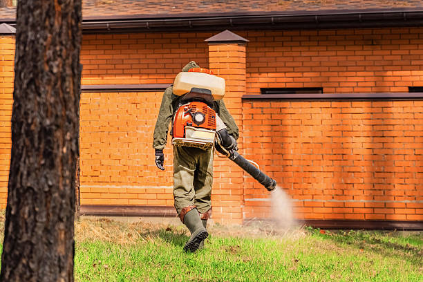 Bed Bug Clearance Verification and Documentation in Port Barrington
